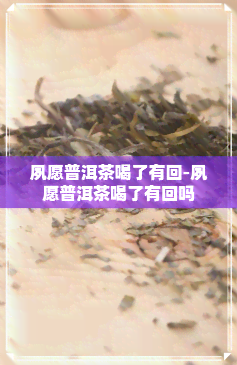 夙愿普洱茶喝了有回-夙愿普洱茶喝了有回吗