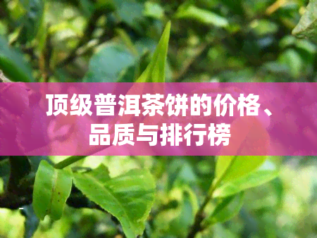 顶级普洱茶饼的价格、品质与排行榜