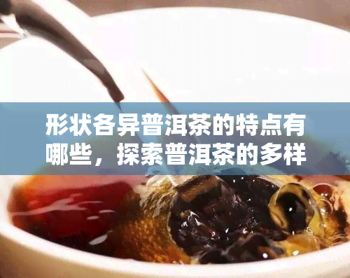 形状各异普洱茶的特点有哪些，探索普洱茶的多样魅力：形状各异的特色特点解析