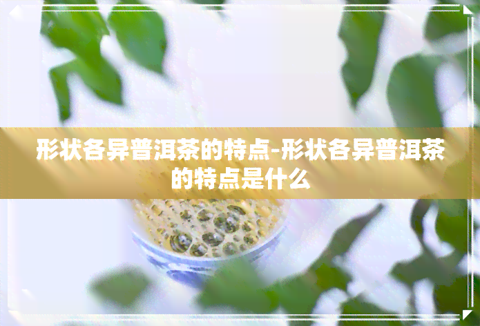 形状各异普洱茶的特点-形状各异普洱茶的特点是什么