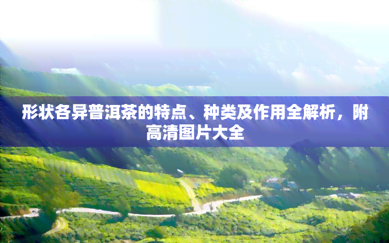 形状各异普洱茶的特点、种类及作用全解析，附高清图片大全