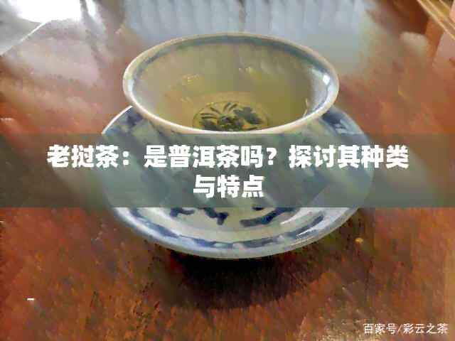 老挝茶：是普洱茶吗？探讨其种类与特点