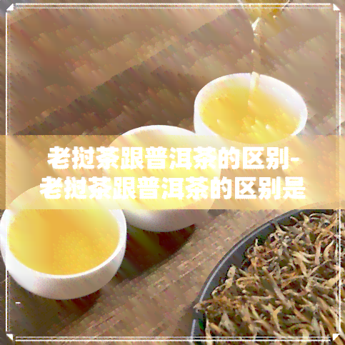 老挝茶跟普洱茶的区别-老挝茶跟普洱茶的区别是什么