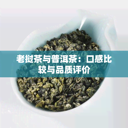 老挝茶与普洱茶：口感比较与品质评价