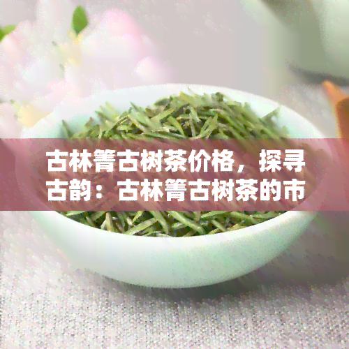 古林箐古树茶价格，探寻古韵：古林箐古树茶的市场价格解析