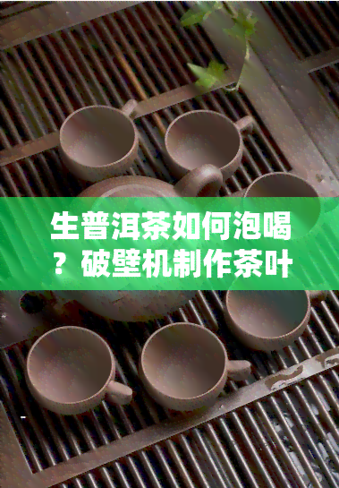 生普洱茶如何泡喝？破壁机制作茶叶水的技巧与效果分享