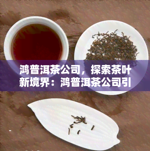 鸿普洱茶公司，探索茶叶新境界：鸿普洱茶公司引领行业革新