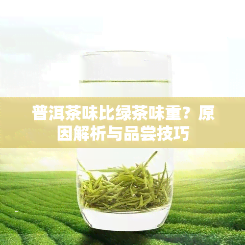 普洱茶味比绿茶味重？原因解析与品尝技巧