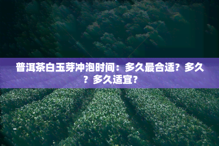 普洱茶白玉芽冲泡时间：多久最合适？多久？多久适宜？