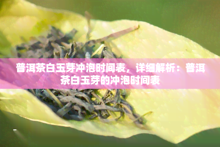 普洱茶白玉芽冲泡时间表，详细解析：普洱茶白玉芽的冲泡时间表