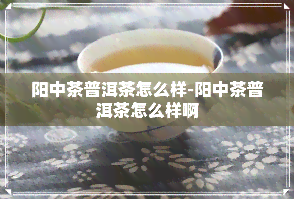 阳中茶普洱茶怎么样-阳中茶普洱茶怎么样啊