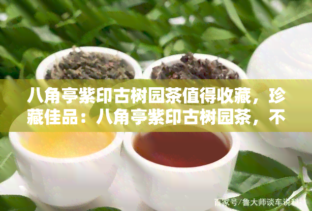 八角亭紫印古树园茶值得收藏，珍藏佳品：八角亭紫印古树园茶，不容错过！