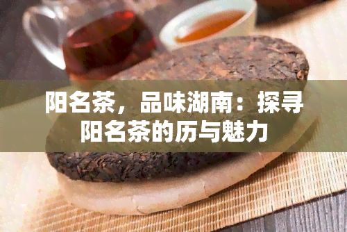 阳名茶，品味湖南：探寻阳名茶的历与魅力