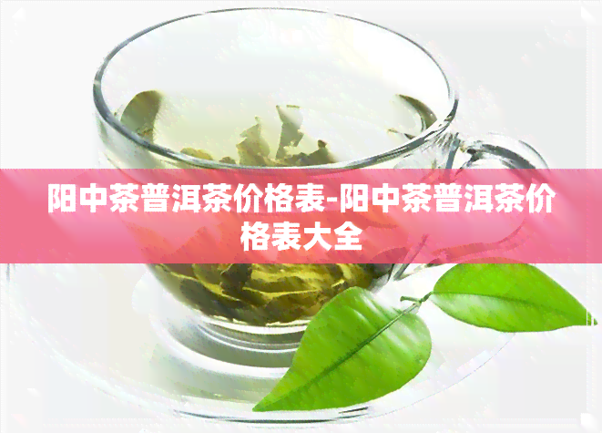 阳中茶普洱茶价格表-阳中茶普洱茶价格表大全