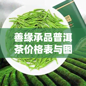 善缘承品普洱茶价格表与图片全览