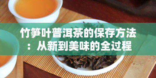 竹笋叶普洱茶的保存方法：从新到美味的全过程