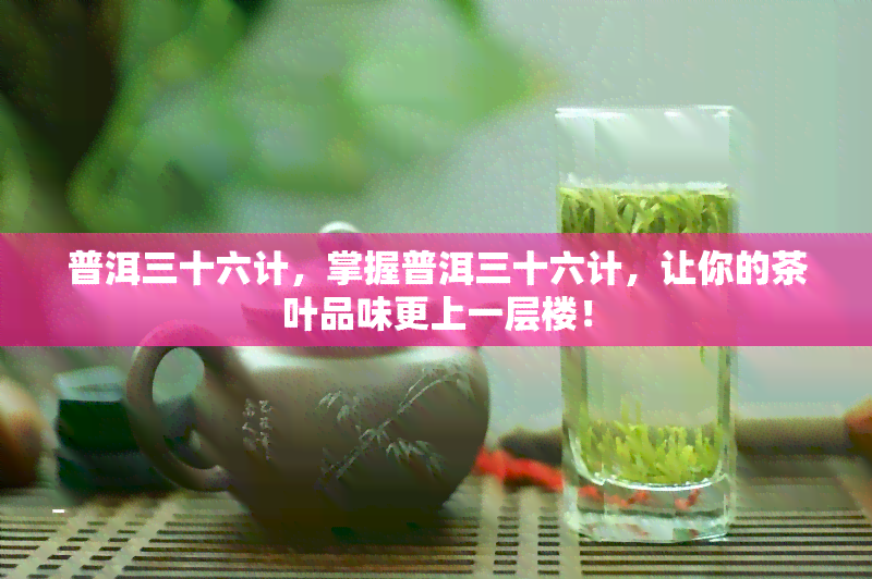 普洱三十六计，掌握普洱三十六计，让你的茶叶品味更上一层楼！