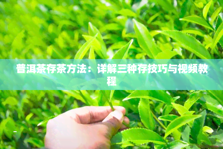 普洱茶存茶方法：详解三种存技巧与视频教程