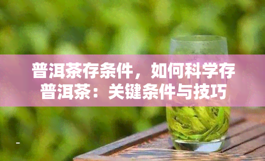 普洱茶存条件，如何科学存普洱茶：关键条件与技巧