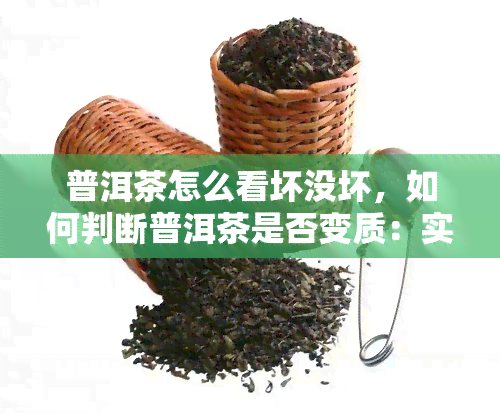 普洱茶怎么看坏没坏，如何判断普洱茶是否变质：实用的辨别方法