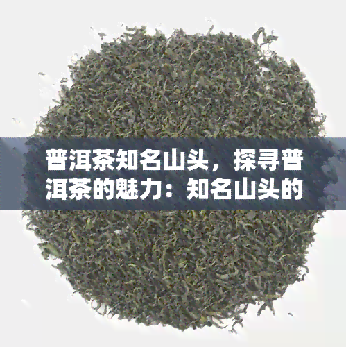 普洱茶知名山头，探寻普洱茶的魅力：知名山头的深度解析