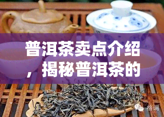 普洱茶卖点介绍，揭秘普洱茶的独特魅力：卖点解析与品尝建议