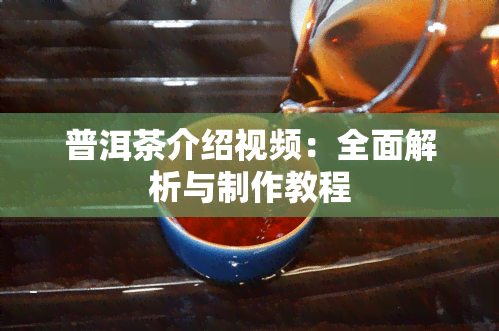 普洱茶介绍视频：全面解析与制作教程