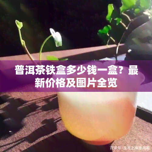 普洱茶铁盒多少钱一盒？最新价格及图片全览