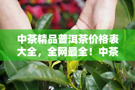 中茶精品普洱茶价格表大全，全网最全！中茶精品普洱茶价格表大盘点