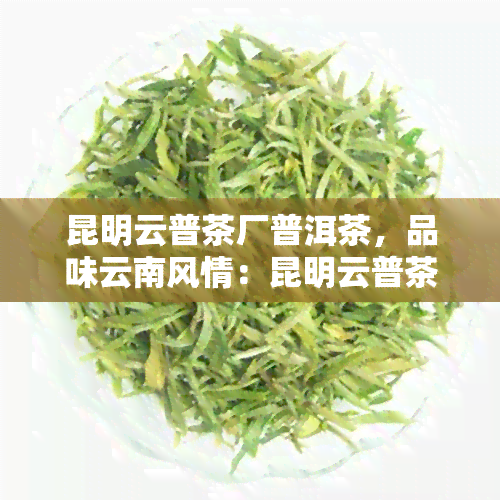 昆明云普茶厂普洱茶，品味云南风情：昆明云普茶厂的优质普洱茶