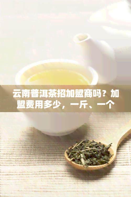 云南普洱茶招加盟商吗？加盟费用多少，一斤、一个月还是杯？推荐哪些？