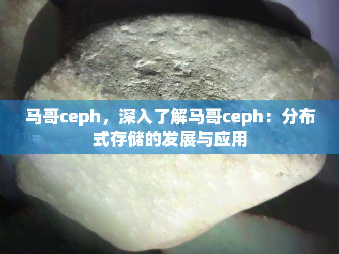 马哥ceph，深入了解马哥ceph：分布式存储的发展与应用