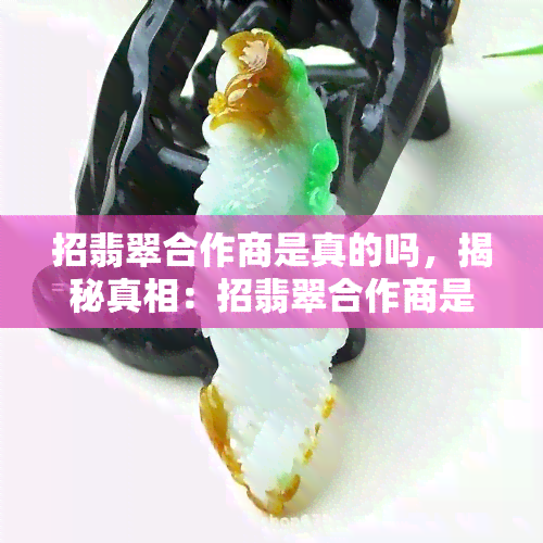 招翡翠合作商是真的吗，揭秘真相：招翡翠合作商是否真实可靠？