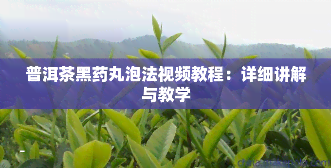 普洱茶黑丸泡法视频教程：详细讲解与教学