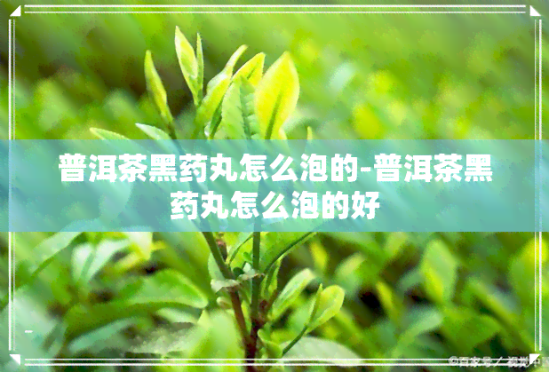 普洱茶黑丸怎么泡的-普洱茶黑丸怎么泡的好