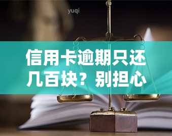 信用卡逾期只还几百块？别担心，这里有解决办法！