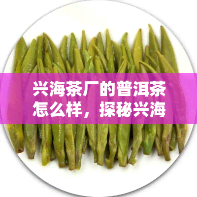 兴海茶厂的普洱茶怎么样，探秘兴海茶厂：普洱茶品质如何？