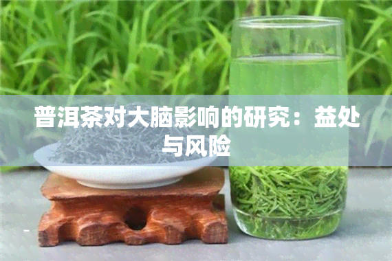 普洱茶对大脑影响的研究：益处与风险