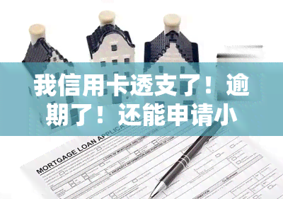 我信用卡透支了！逾期了！还能申请小网贷吗？安全性与解决办法解析