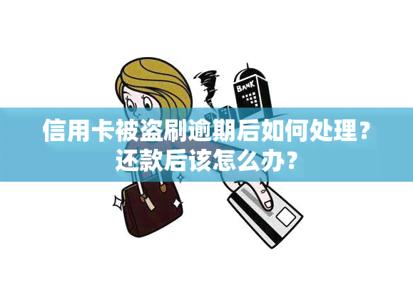 信用卡被盗刷逾期后如何处理？还款后该怎么办？