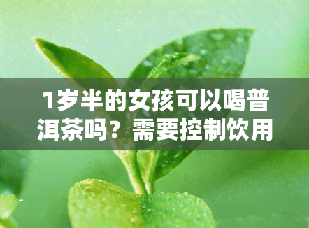 1岁半的女孩可以喝普洱茶吗？需要控制饮用量