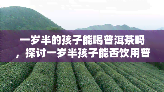 一岁半的孩子能喝普洱茶吗，探讨一岁半孩子能否饮用普洱茶