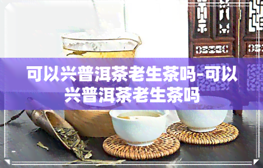 可以兴普洱茶老生茶吗-可以兴普洱茶老生茶吗