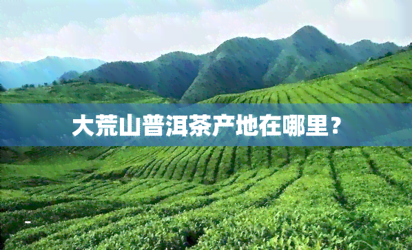 大荒山普洱茶产地在哪里？