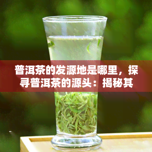 普洱茶的发源地是哪里，探寻普洱茶的源头：揭秘其发源地