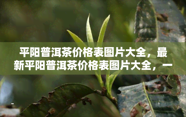 平阳普洱茶价格表图片大全，最新平阳普洱茶价格表图片大全，一站式了解市场价格！