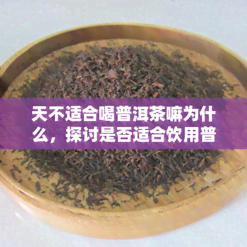 天不适合喝普洱茶嘛为什么，探讨是否适合饮用普洱茶及其原因