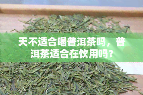 天不适合喝普洱茶吗，普洱茶适合在饮用吗？