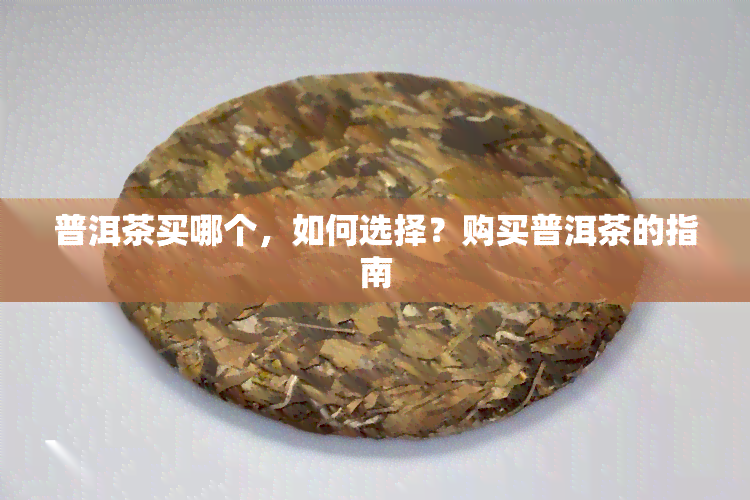 普洱茶买哪个，如何选择？购买普洱茶的指南