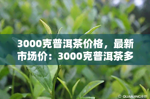 3000克普洱茶价格，最新市场价：3000克普洱茶多少钱？